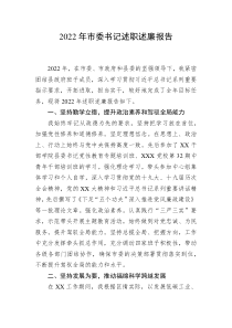 20XX年市委书记述职述廉报告