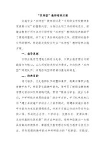 双师型教师培养方案