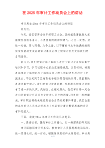 在2025年审计工作动员会上的讲话