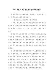 20XX年度XX国企党支部书记述职述廉报告