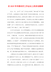 在2025年市委农村工作会议上的讲话提纲