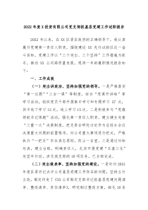 20XX年度XX投资有限公司党支部抓基层党建工作述职报告