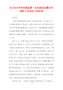 在2025年市安委会第一次全体会议暨全市消防工作会议上的讲话