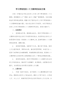 学习贯彻党的二十大精神的活动方案