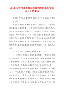 在2025年市高质量项目谋划推进工作专班会议上的讲话