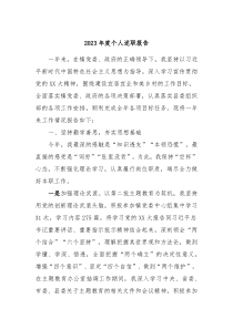 20XX年度个人述职报告