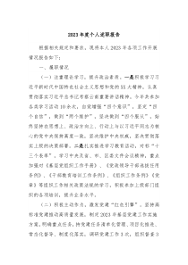 20XX年度个人述职报告2