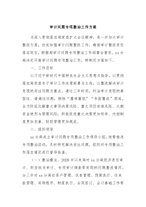 审计问题专项整治工作方案