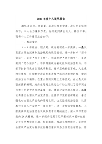 20XX年度个人述职报告3