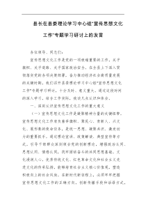 县长在县委理论学习中心组宣传思想文化工作专题学习研讨上的发言