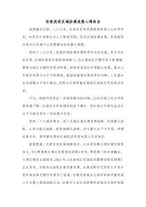 有效促进区域协调发展心得体会