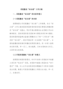 巡视整改回头看工作方案