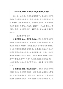 20XX年度乡镇党委书记述职述德述廉述法报告