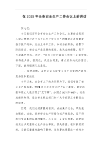 在2025年全市安全生产工作会议上的讲话