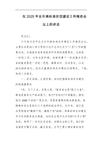 在2025年全市高标准农田建设工作推进会议上的讲话