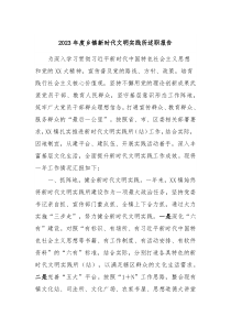 20XX年度乡镇新时代文明实践所述职报告