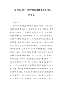 在2025年十五五规划调研情况汇报会上的讲话