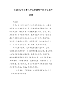 在2025年市委人才工作领导小组会议上的讲话