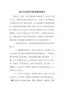 20XX年度党委书记抓党建述职报告