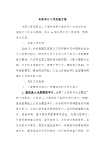 年度审计工作实施方案