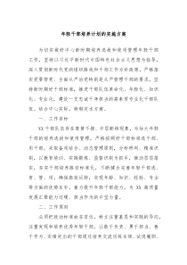 年轻干部培养计划的实施方案