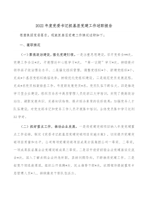 20XX年度党委书记抓基层党建工作述职报告