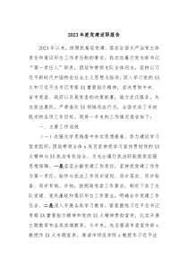 20XX年度党建述职报告