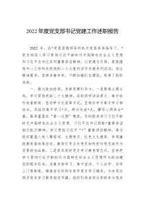 20XX年度党支部书记党建工作述职报告