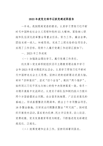 20XX年度党支部书记抓党建述职报告