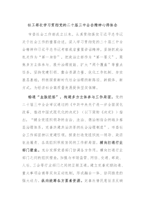 社工部长学习贯彻党的二十届三中全会精神心得体会