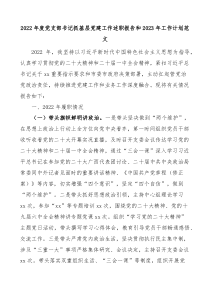 20XX年度党支部书记抓基层党建工作述职报告和20XX年工作计划
