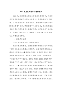 20XX年度党支部书记述职报告