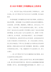 在2025年消防工作视频会议上的讲话