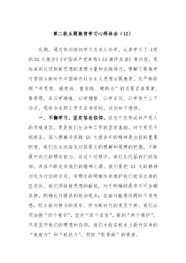 第二批主题教育学习心得体会12