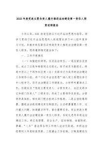 20XX年度党政主要负责人履行推进法治建设第一责任人职责述职报告