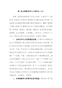 第二批主题教育学习心得体会14