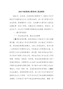 20XX年度党政主要负责人述法报告