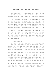 20XX年度党组书记履行主体责任情况报告