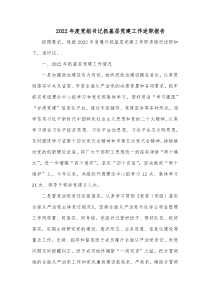 20XX年度党组书记抓基层党建工作述职报告