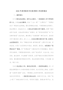 20XX年度党组织书记抓党建工作述职报告
