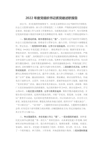 20XX年度党组织书记抓党建述职报告