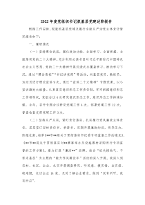 20XX年度党组织书记抓基层党建述职报告
