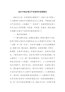 20XX年度全面从严治党责任述职报告