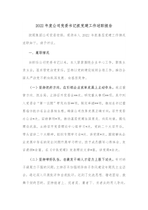 20XX年度公司党委书记抓党建工作述职报告