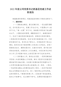 20XX年度公司党委书记抓基层党建工作述职报告