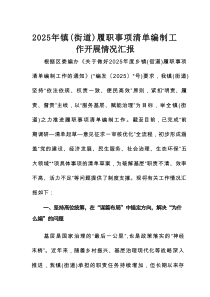 2025年镇（街道）履职事项清单编制工作开展情况汇报
