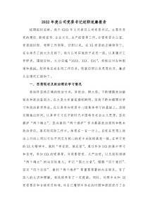 20XX年度公司党委书记述职述廉报告