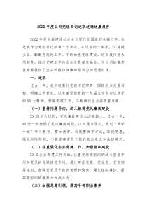 20XX年度公司党组书记述职述德述廉报告