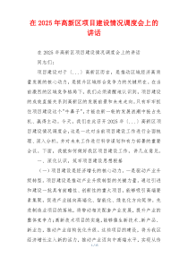 在2025年高新区项目建设情况调度会上的讲话