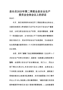 县长在2025年第二季度全县安全生产委员会全体会议上的讲话